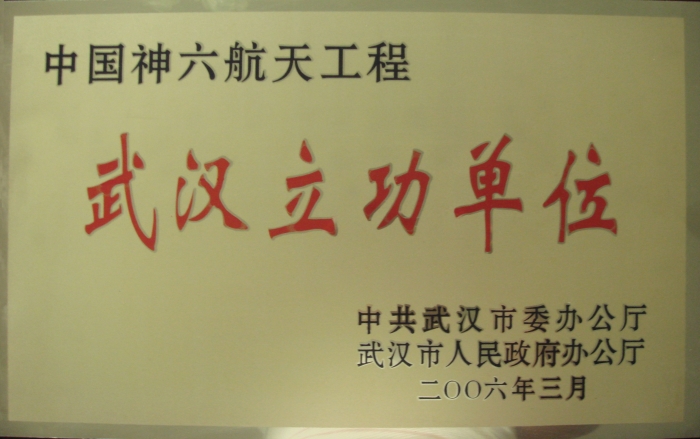 武汉市委、市人民政府表彰